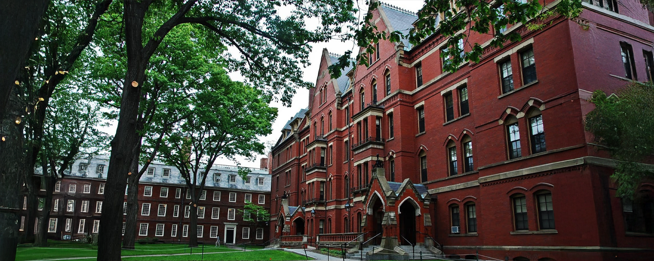 Üniversite Danışmanlığı